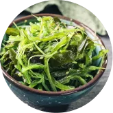 Phytomem One™ Fucoxanthin
